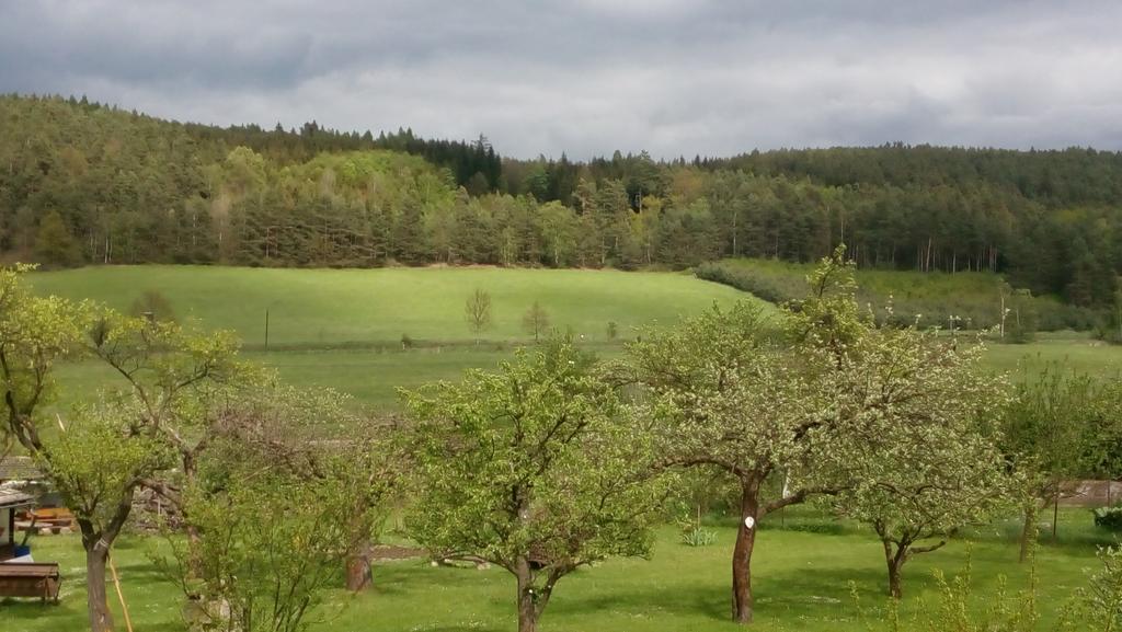 Mija Apartman S Vinnym Sklipkem, Zahradou A Grilem Kájov Exterior foto